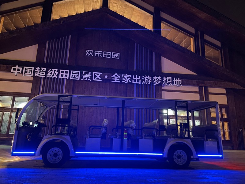專業(yè)電動巡邏車<div   id=