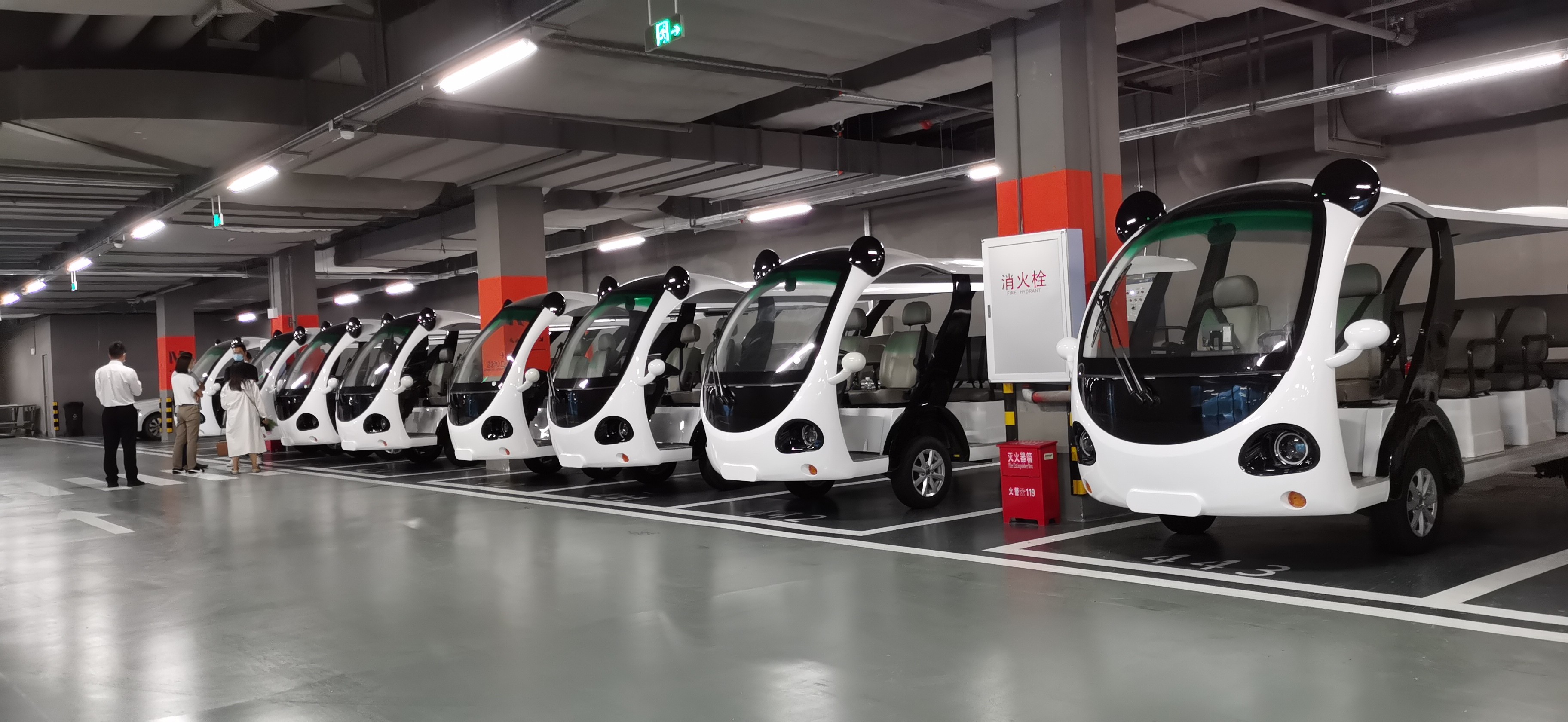 專業(yè)電動巡邏車<div   id=