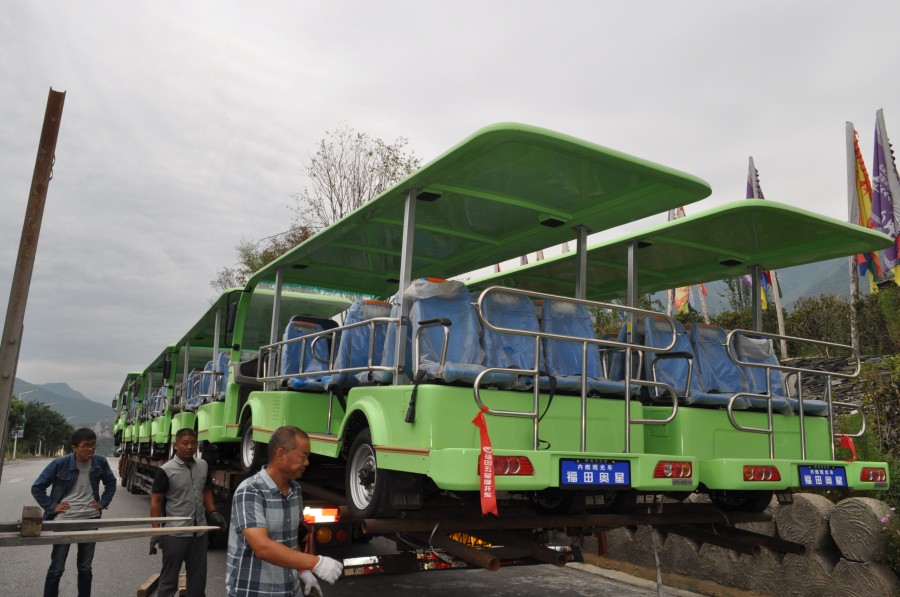 專業(yè)電動巡邏車廠家,電動觀光車制造商