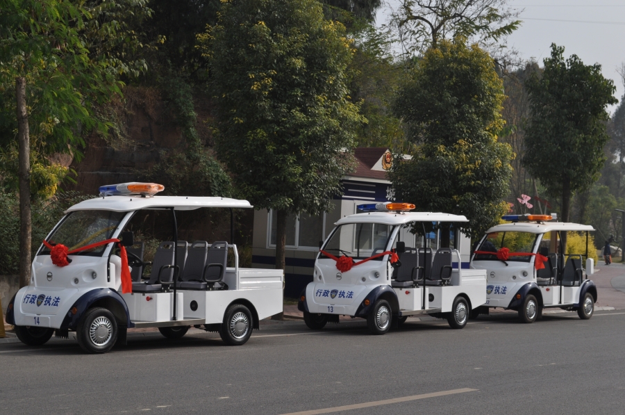 專業(yè)電動(dòng)巡邏車<div   id=