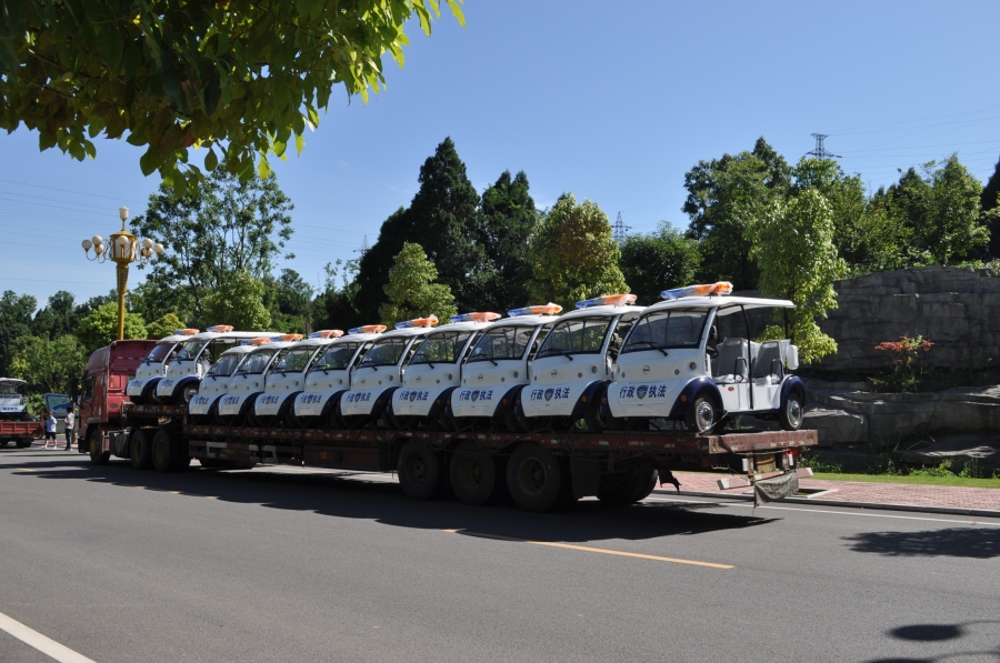 專業(yè)電動(dòng)巡邏車<div   id=